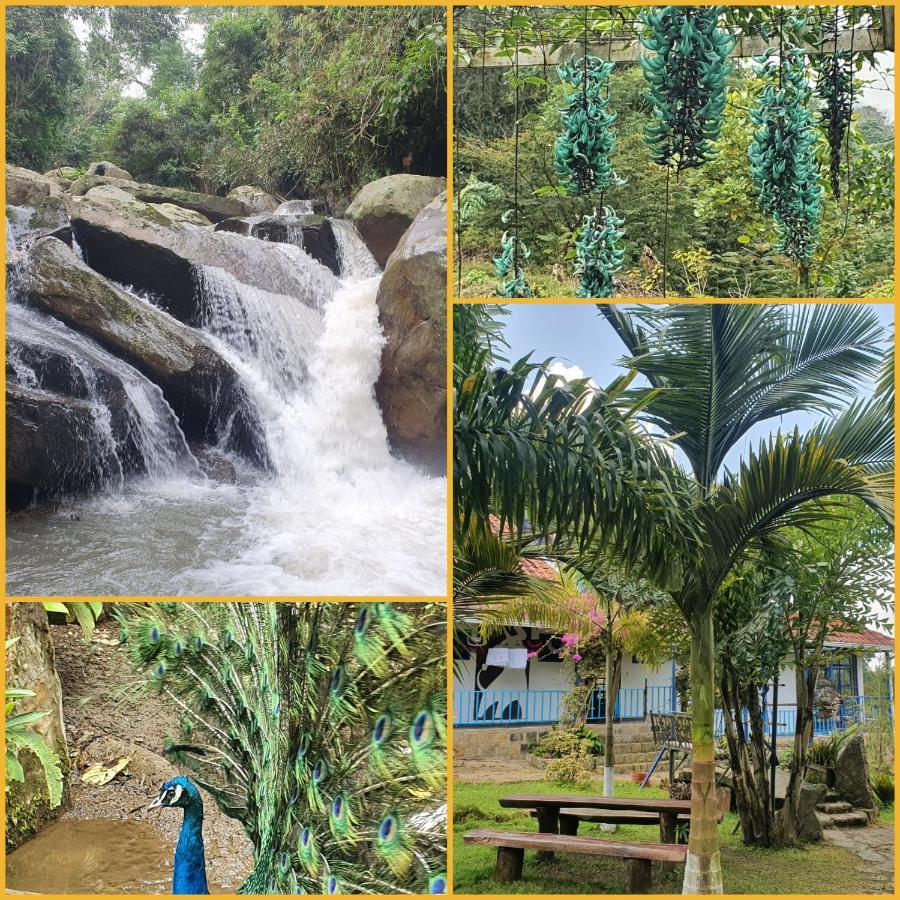 Finca Jardin Del Agua 사사이마 외부 사진