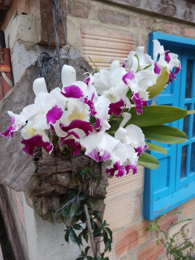 Finca Jardin Del Agua 사사이마 외부 사진