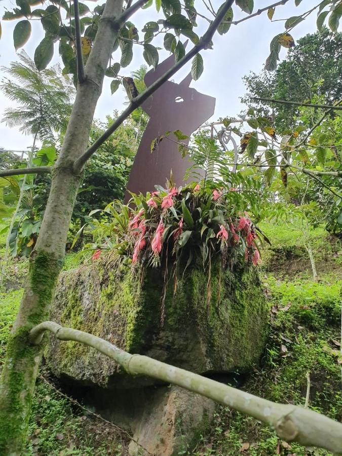 Finca Jardin Del Agua 사사이마 외부 사진