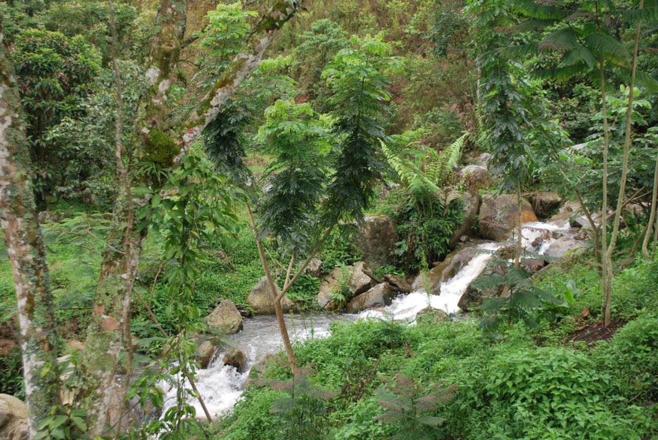Finca Jardin Del Agua 사사이마 외부 사진