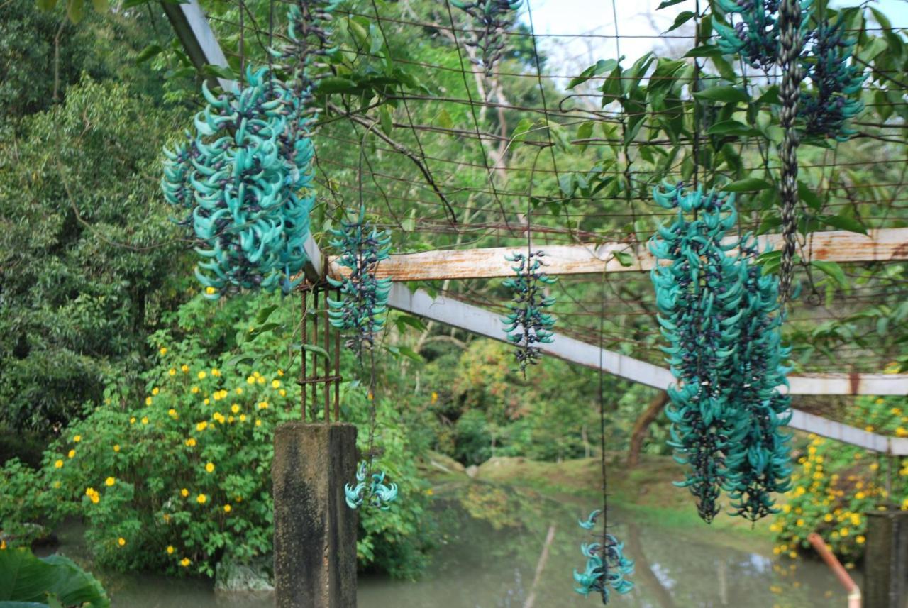Finca Jardin Del Agua 사사이마 외부 사진