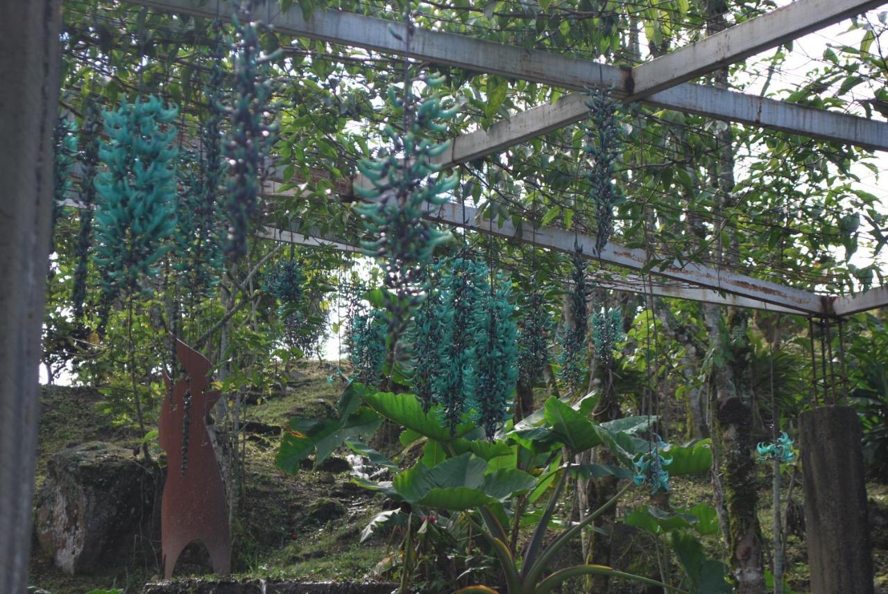 Finca Jardin Del Agua 사사이마 외부 사진